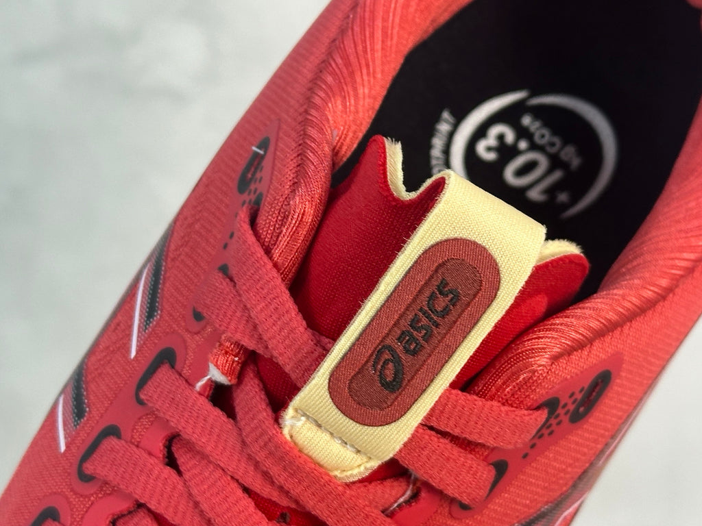Asics Gel Kayano 32