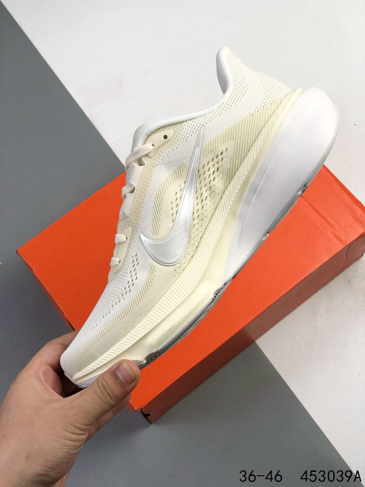 Nike Pegasus 42
