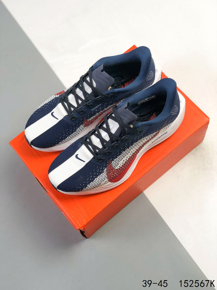 Nike Pegasus Plus
