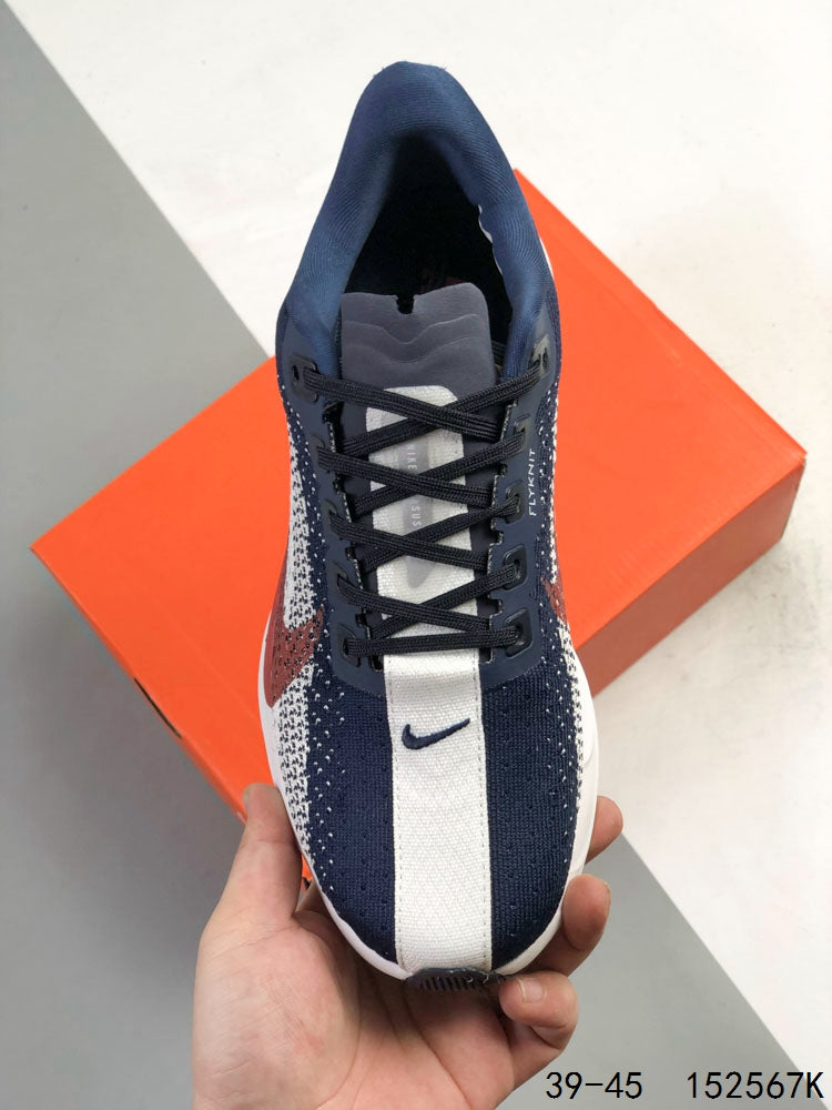 Nike Pegasus Plus